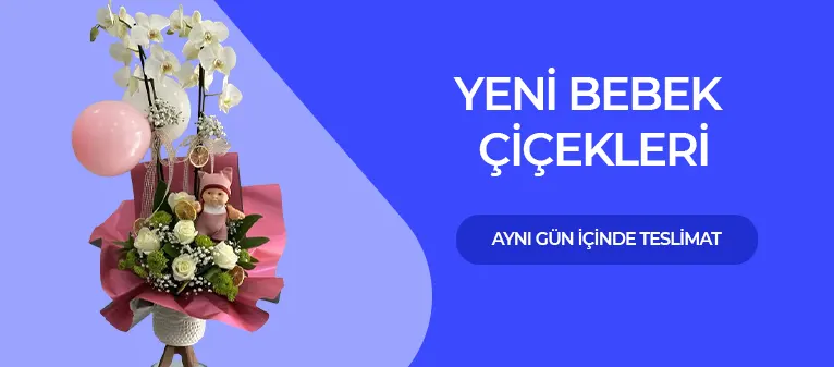 Yeni Bebek Çiçekleri