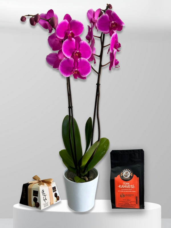 İki Dal Mor Orkide & Türk Kahvesi & Çikolata